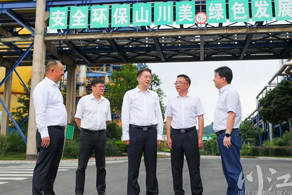 杨林兴：把新型工业化摆在更加突出的位置，让“四化同步”发展的主引擎作用更加凸显